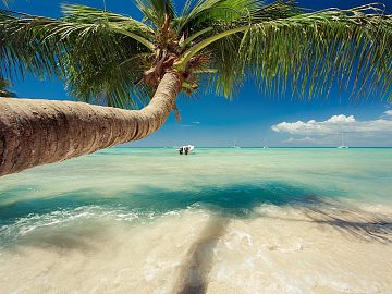 Zdjęcie kierunku: Punta Cana